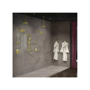 Rhen Hand Shower in Brushed Gold
