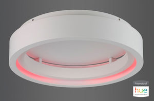 iCorona 23.5' Single Light Flush Mount in Matte White