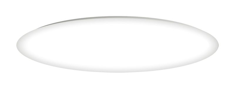 Low Profile EE 14' 2 Light Flush Mount in White