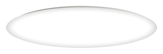 Low Profile EE 19" 2 Light Flush Mount in White