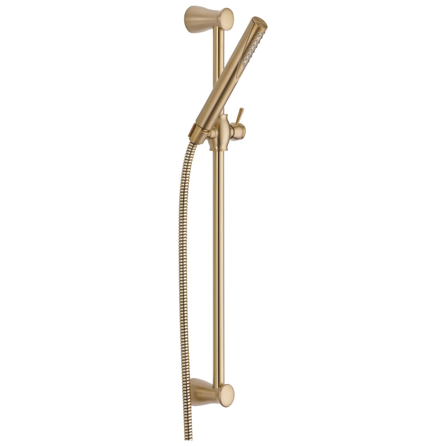 Compel Hand Shower in Champagne with Slide Bar