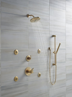 Compel Hand Shower in Champagne with Slide Bar