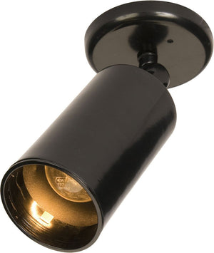 Spots 3.5' Single Light Can Lighting Flush Mount Wall Sconce in Black