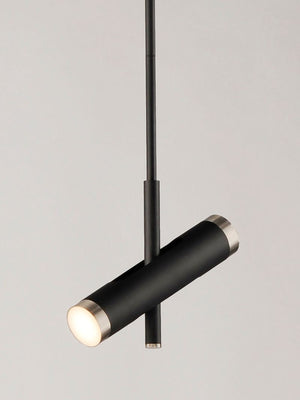 Ambit 2.25' 2 Light Single Pendant in Black and Satin Nickel