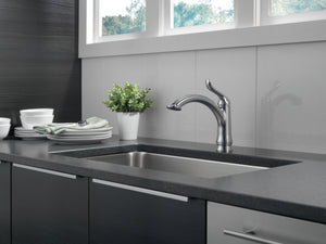 Linden Single-Handle Kitchen Faucet in Arctic Stainless