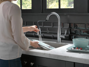 Essa Pull-Down Bar Kitchen Faucet in Arctic Stainless