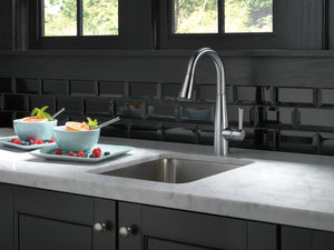 Essa Pull-Down Bar Kitchen Faucet in Arctic Stainless