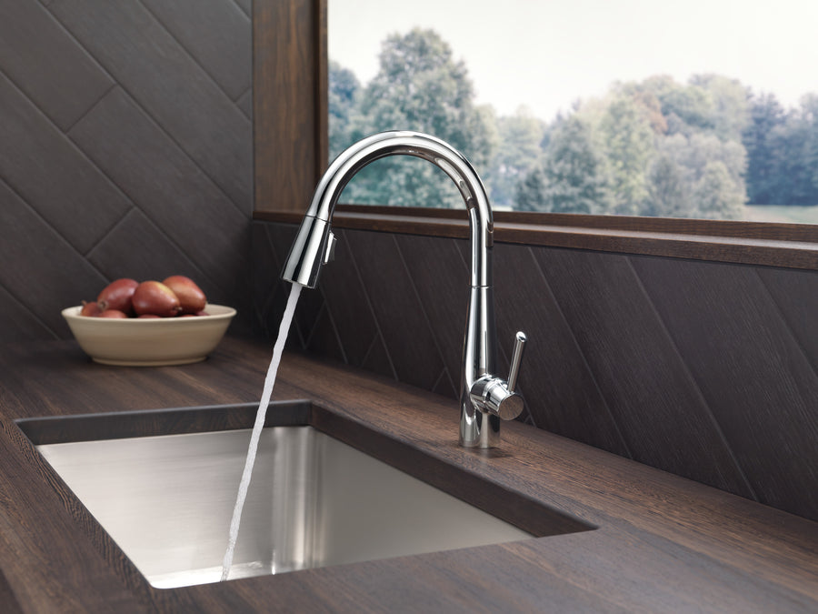 Essa Pull-Down Kitchen Faucet in Chrome