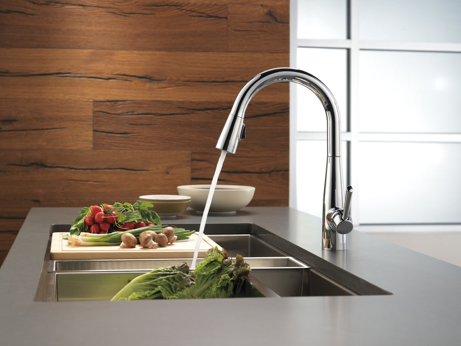 Essa Pull-Down Kitchen Faucet in Chrome