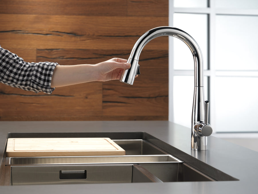 Essa Pull-Down Kitchen Faucet in Chrome