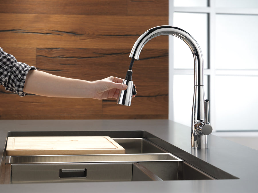 Essa Pull-Down Kitchen Faucet in Chrome