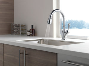 Leland Pull-Down Kitchen Faucet in Arctic Stainless with ShieldSpray