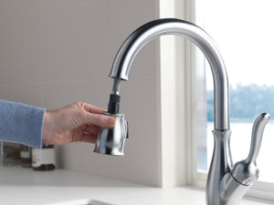 Leland Pull-Down Kitchen Faucet in Arctic Stainless with ShieldSpray