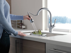 Leland Pull-Down Kitchen Faucet in Arctic Stainless with ShieldSpray