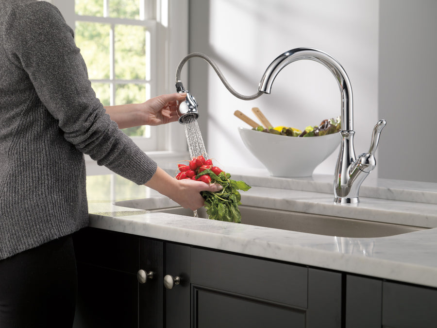 Leland Pull-Down Kitchen Faucet in Chrome with ShieldSpray