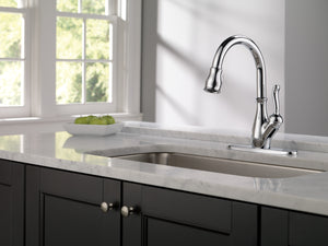 Leland Pull-Down Kitchen Faucet in Chrome with ShieldSpray
