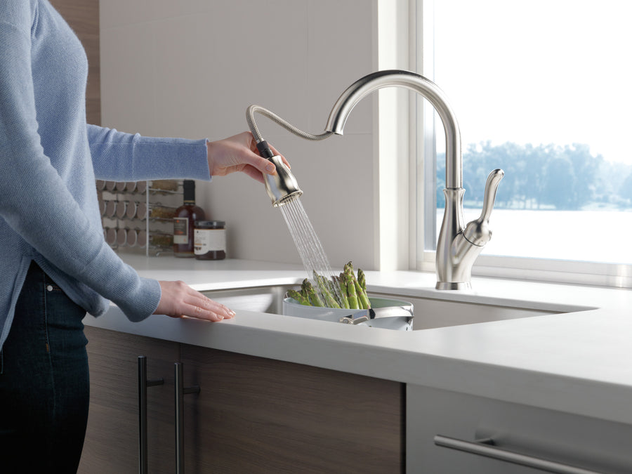 Leland Pull-Down Kitchen Faucet in Spotshield Stainless with ShieldSpray