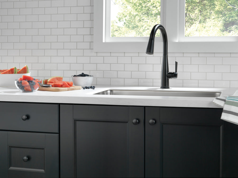 Essa Pull-Down Kitchen Faucet in Matte Black with Touch Tech