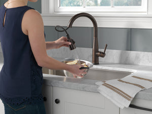 Essa Pull-Down Kitchen Faucet in Venetian Bronze with Touch Tech