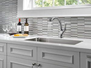 Linden Pull-Out High-Arc Kitchen Faucet in Arctic Stainless