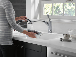 Linden Pull-Out Low-Arc Kitchen Faucet in Arctic Stainless