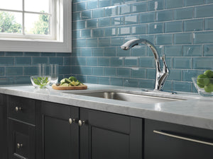 Linden Pull-Out High-Arc Kitchen Faucet in Chrome