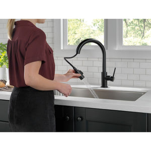 Trinsic Pull-Down Kitchen Faucet in Matte Black