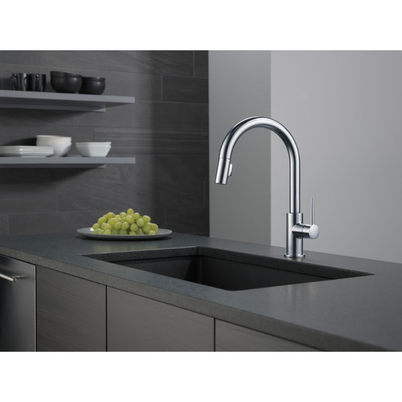 Trinsic Pull-Down Kitchen Faucet in Arctic Stainless