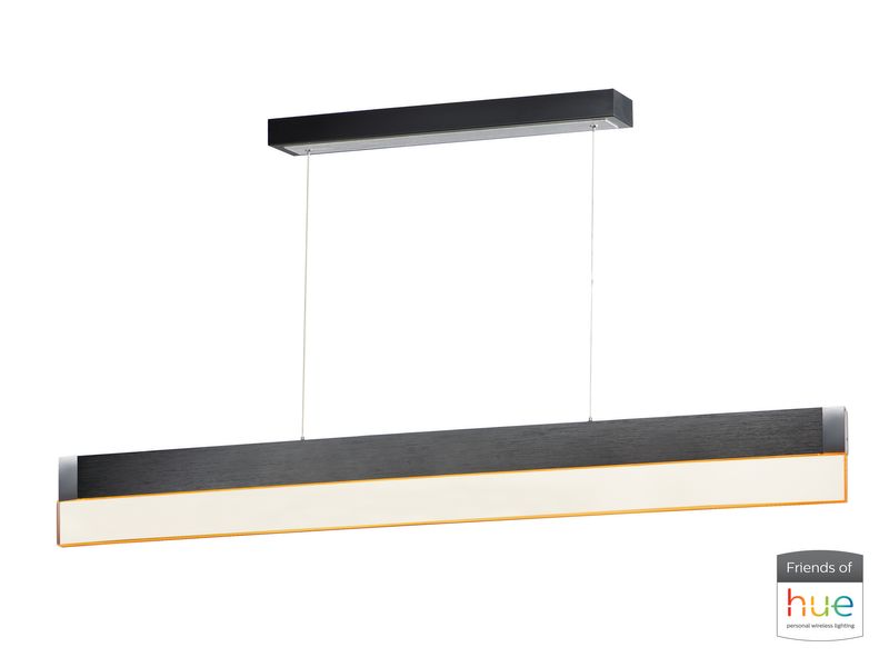 iBar 61.5' Single Light Friends of Hue Linear Pendant in Brushed Black