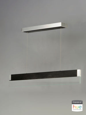 iBar 61.5' Single Light Friends of Hue Linear Pendant in Brushed Black