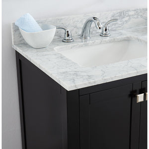 Beck Espresso Freestanding Vanity Cabinet with Single Basin Integrated Sink and Countertop - Two Doors (31' x 34.5' x 22')