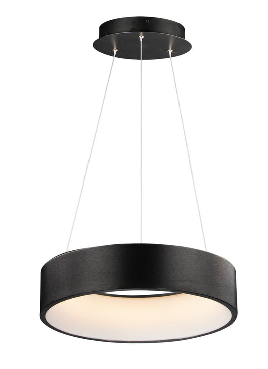 iQ 17.75" Single Light Friends of Hue Pendant in Brushed Black