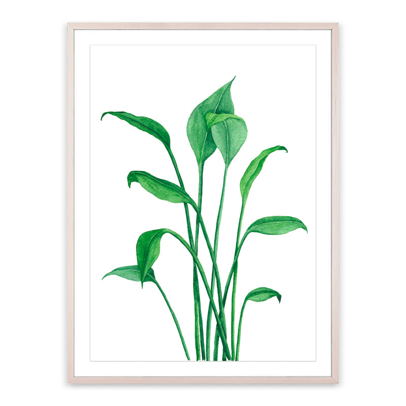 Peace Lily Painting on Photo Paper By Teague Studios - 13' x 19'