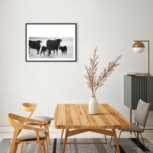 Cattle and Calves Photograph By Teague Studios - 35' x 25'