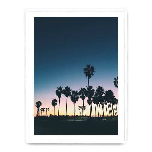 Palm Trees II Photograph By Erica Singleton - 13" x 19"