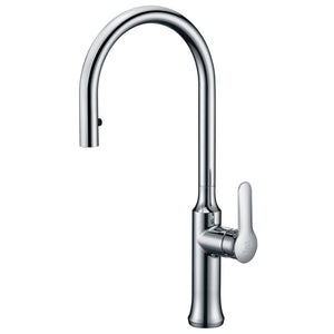 Cresent Single-Handle Pull-Down Kitchen Faucet in Polished Chrome