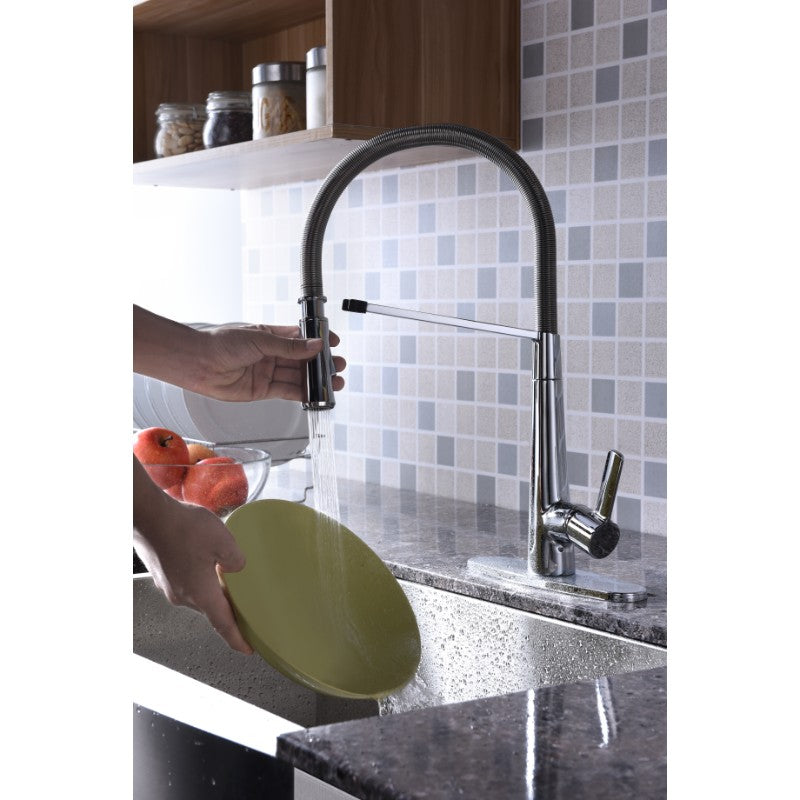 Apollo Single-Handle Pull-Down Kitchen Faucet in Polished Chrome