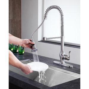 Bastion Single-Handle Pull-Down Kitchen Faucet in Brushed Nickel