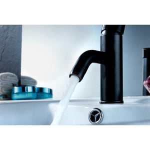 Bravo Single-Handle Bathroom Faucet in Oil Rubbed Bronze