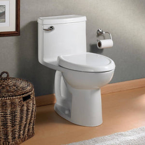 FloWise Elongated 1.28 gpf One-Piece Toilet in White - ADA Compliant