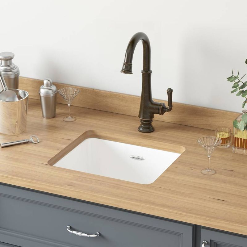 Delancey 18' Single Basin Undermount Kitchen Sink in Brilliant White