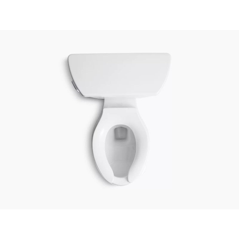 Wellworth Classic Elongated 1.6 gpf Two-Piece Toilet in White
