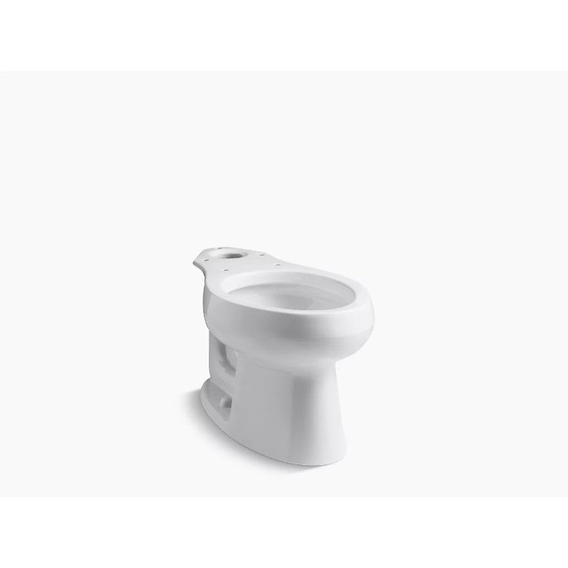Wellworth Elongated Toilet Bowl in White
