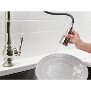 Artifacts Pull-Down Kitchen Faucet in Polished Chrome - 4.88' Width