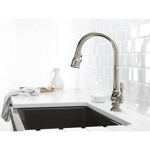 Artifacts Pull-Down Kitchen Faucet in Vibrant Polished Nickel - 4.88' Width