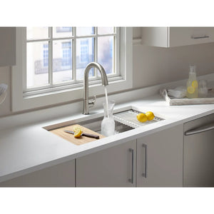 Prolific 17.75' x 31.5' x 10.94' Stainless Steel Single Basin Undermount Kitchen Sink