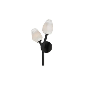 Blossom 18.75' 2 Light Wall Sconce in Black