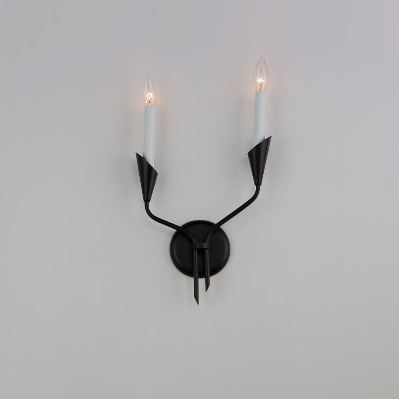 Calyx 17' 2 Light Wall Sconce in Black