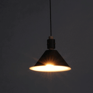 Tucson Single Light Pendant in Oil Rubbed Bronze and Weathered Wood