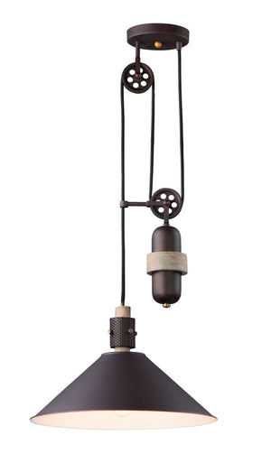 Tucson 16' Single Light Pendant in Oil Rubbed Bronze and Weathered Wood